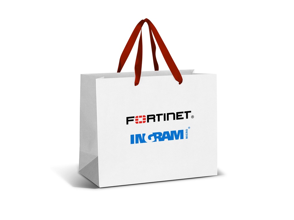 Fortinet | Ingram Micro Paper Gift Bag (Small)
